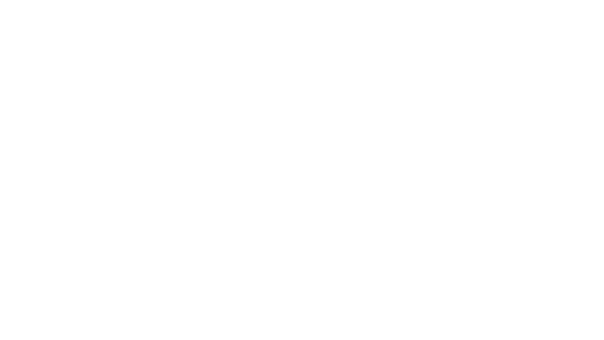 fs2-logo-1.webp